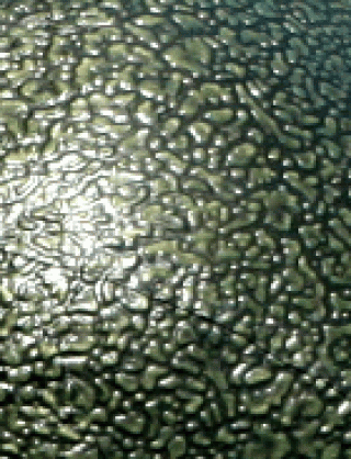 Struktur Latex Reptile Skin